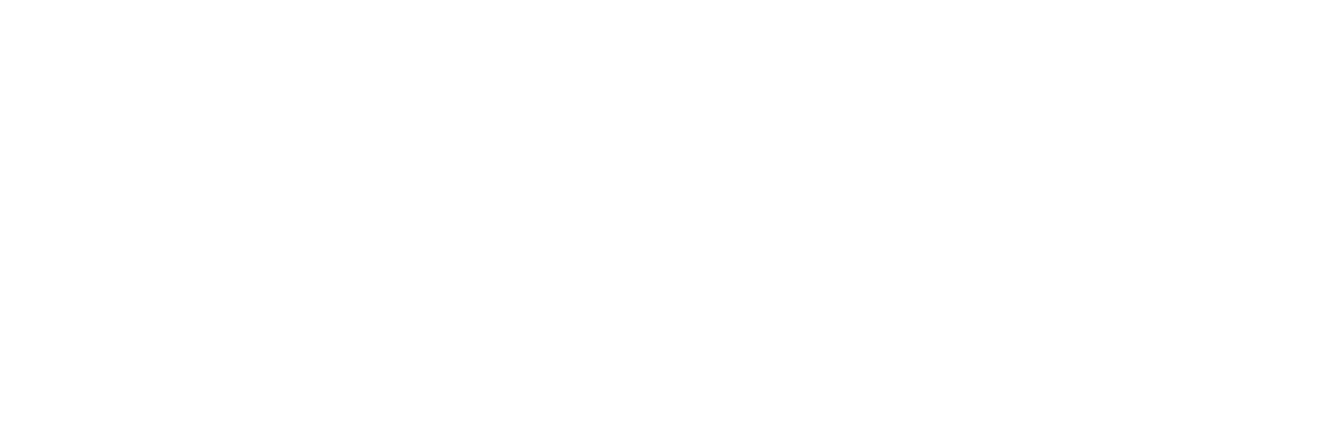 synk logo white