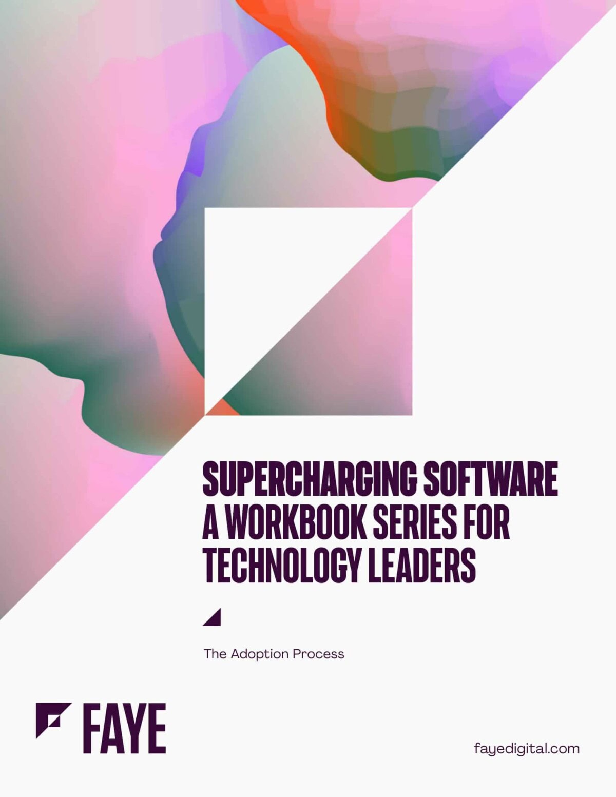 faye workbook adoption for launch 1