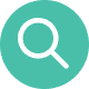 icon magnify