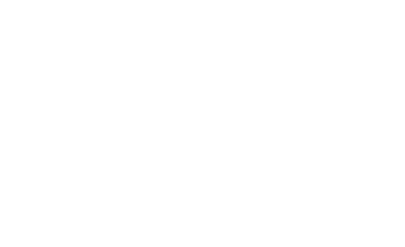 the joint (1)